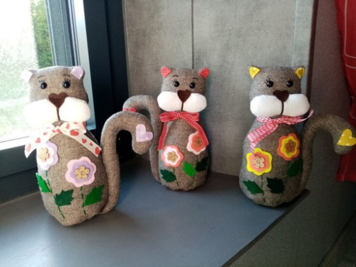 Chat cale porte violet